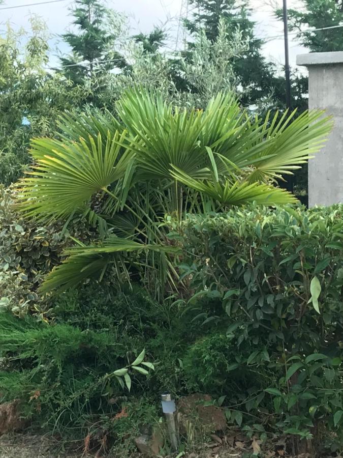 Casa Dei Fiori Villa Asproválta Ngoại thất bức ảnh